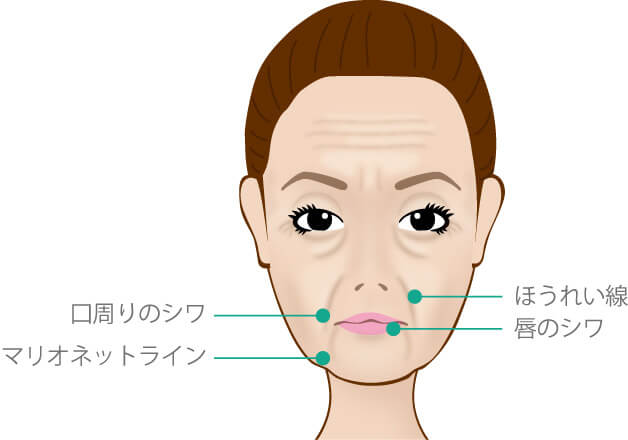 効果のある部位