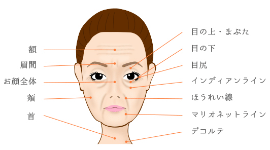 適応部位