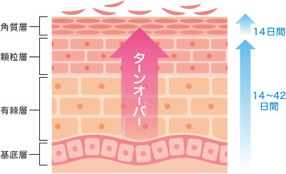 説明