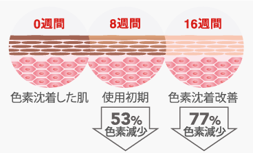 使用サイクル