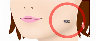 咬筋