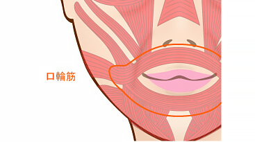 口輪筋