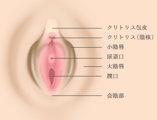 しょういんしん縮小手術 保険適用